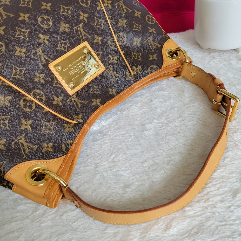 Louis Vuitton Monogram Canvas Hobo with Vachetta Leather Strap